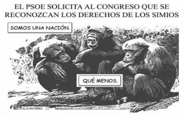España: política simiesca (reflexión para el fin de semana)