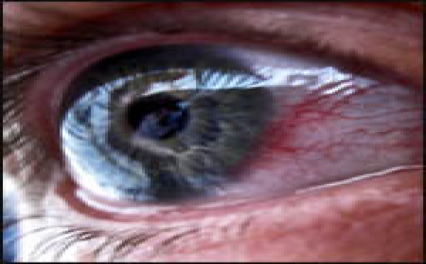 Las 50 mentiras más repetidas (Reflexión para el fin de semana)